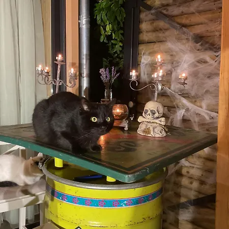 Дом отдыха Cosy Little Loft In En Ardenne Ла-Рош-ан-Арден