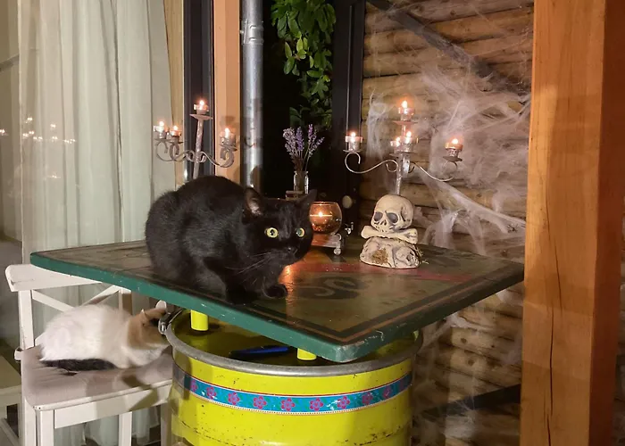 Holiday home Cosy Little Loft In En Ardenne La Roche-en-Ardenne